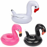 Black Swan Inflatable Drink Floating Holder